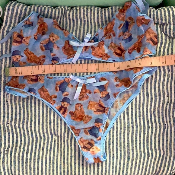 ✨DONATED✨ Shear Teddy Lingerie Set - Picture 3 of 5